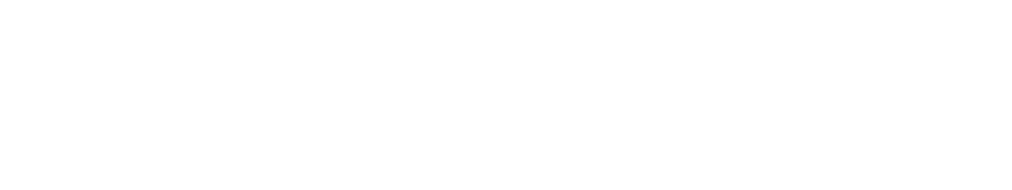 Shendy Tech