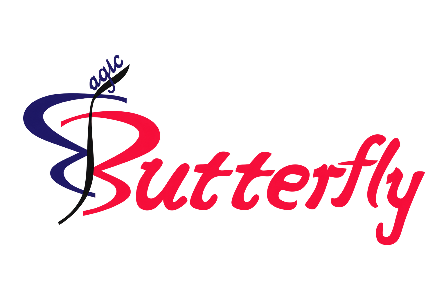 Butterfly GYM